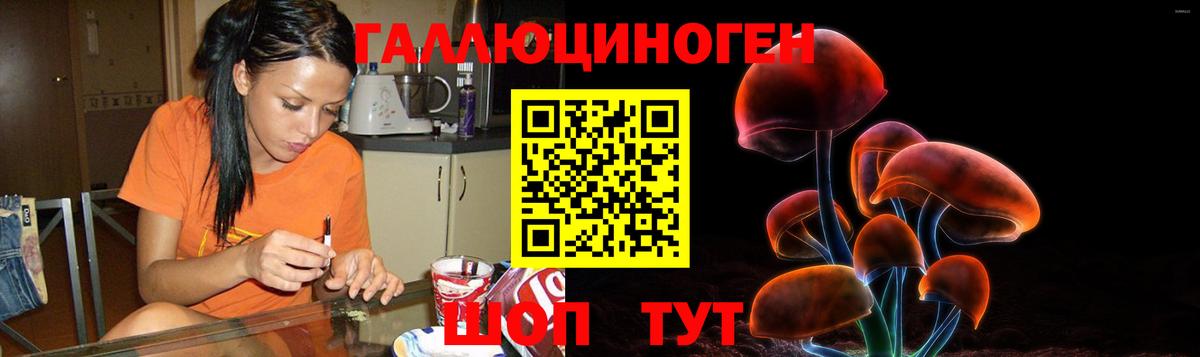 Галлюциногенные грибы MAGIC MUSHROOMS  Вход с VPN  Псилоцибиновые грибы Cubensis  Жуковский 